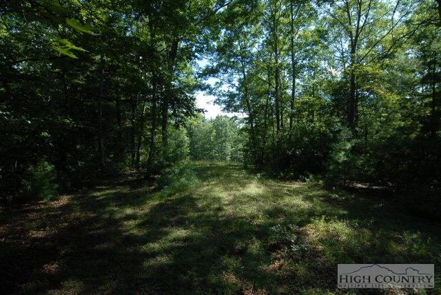 Image number 3 for the current listing