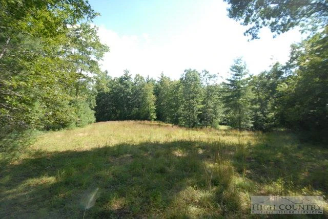 Image number 4 for the current listing