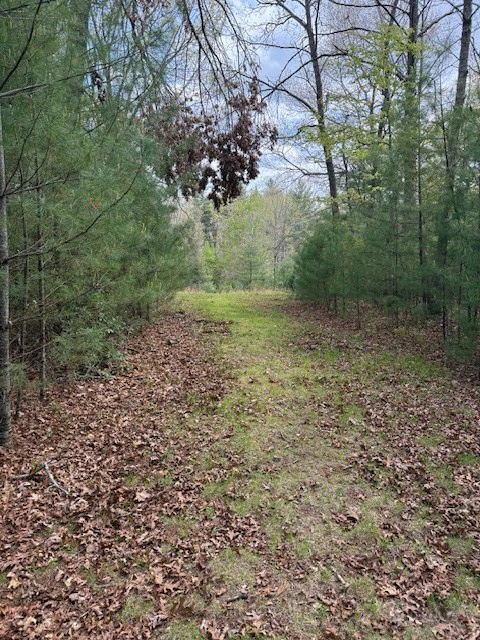 Image number 3 for the current listing