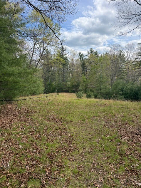 Image number 4 for the current listing