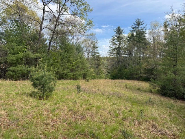 Image number 5 for the current listing