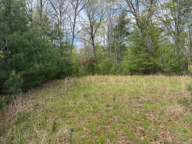 Image number 6 for the current listing