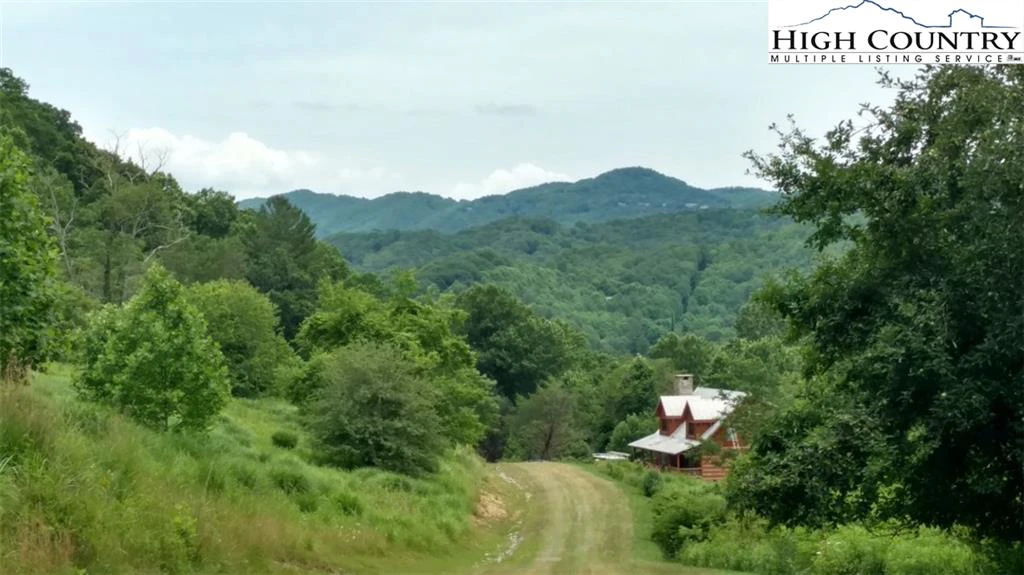 Image number 1 for the current listing