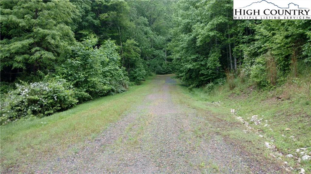 Image number 3 for the current listing