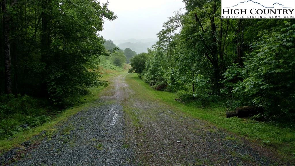 Image number 5 for the current listing