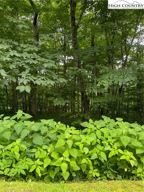 Image number 1 for the current listing