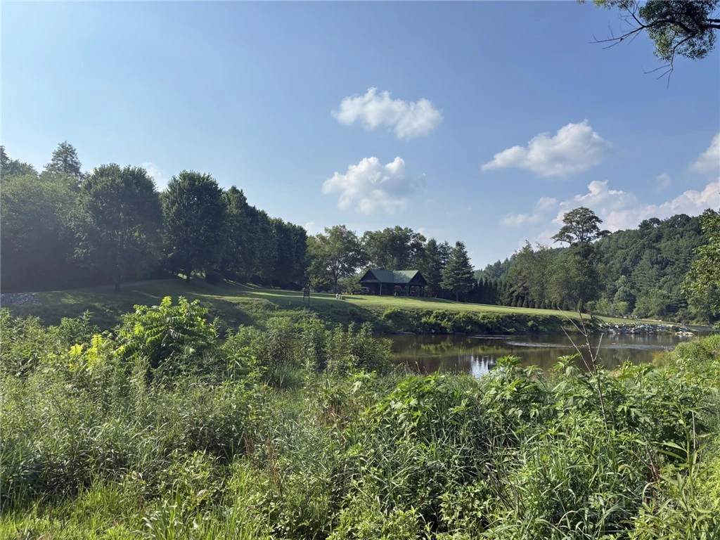 Image number 12 for the current listing