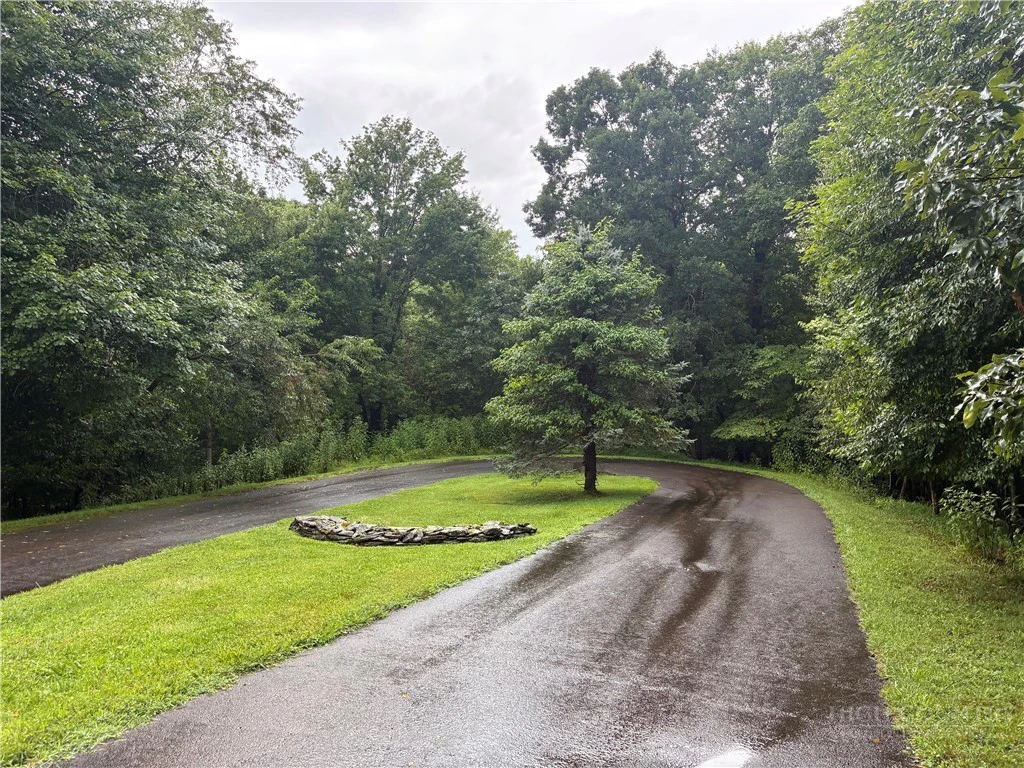 Image number 2 for the current listing