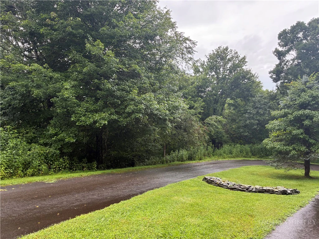 Image number 4 for the current listing