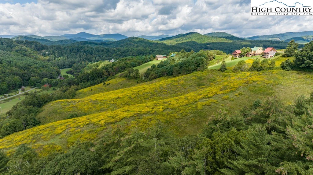 Image number 1 for the current listing