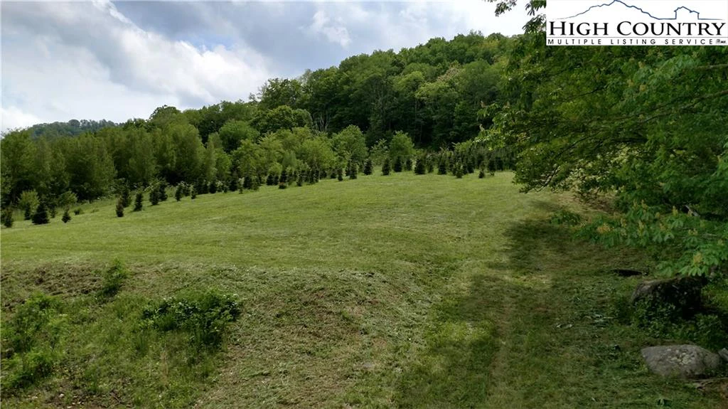 Image number 4 for the current listing