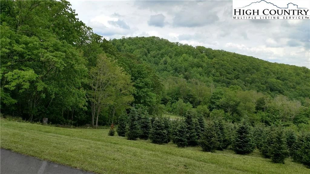 Image number 5 for the current listing