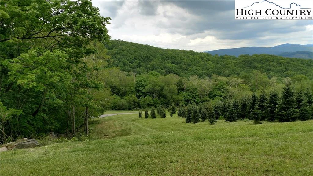 Image number 6 for the current listing