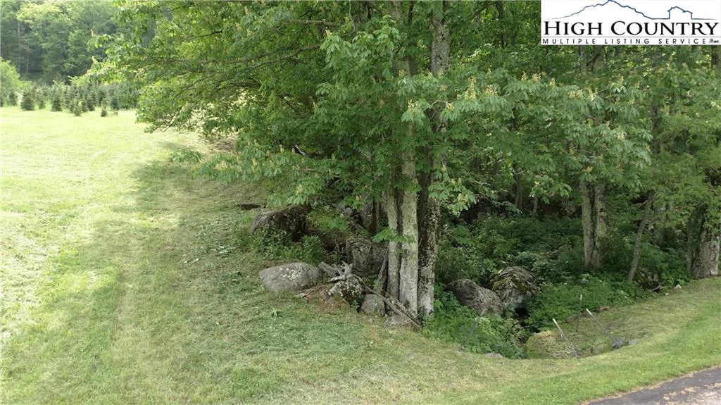 Image number 7 for the current listing