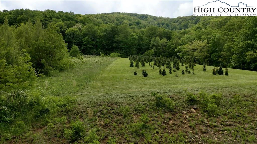 Image number 9 for the current listing