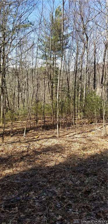 Image number 2 for the current listing