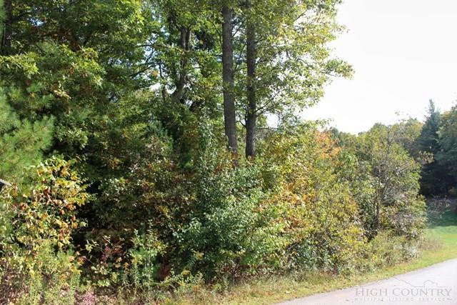 Image number 3 for the current listing