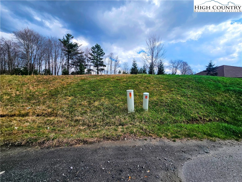 Image number 6 for the current listing