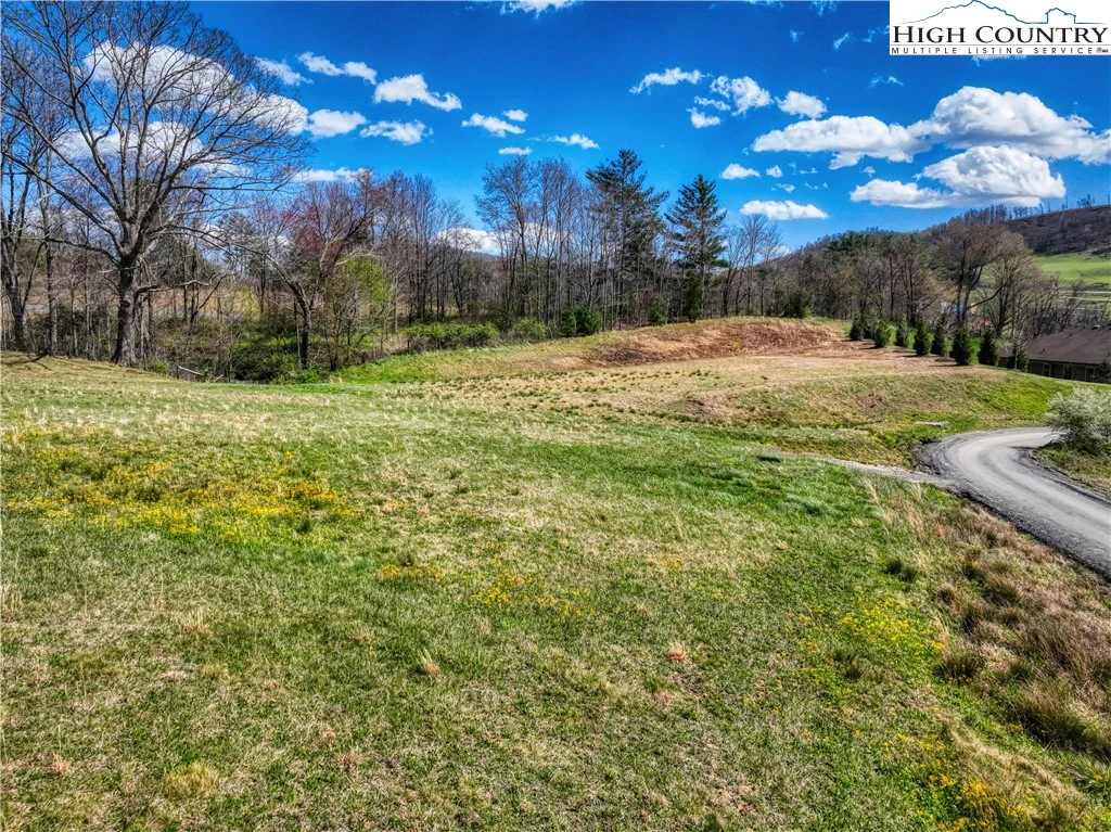 Image number 3 for the current listing