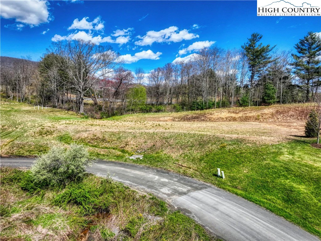 Image number 4 for the current listing