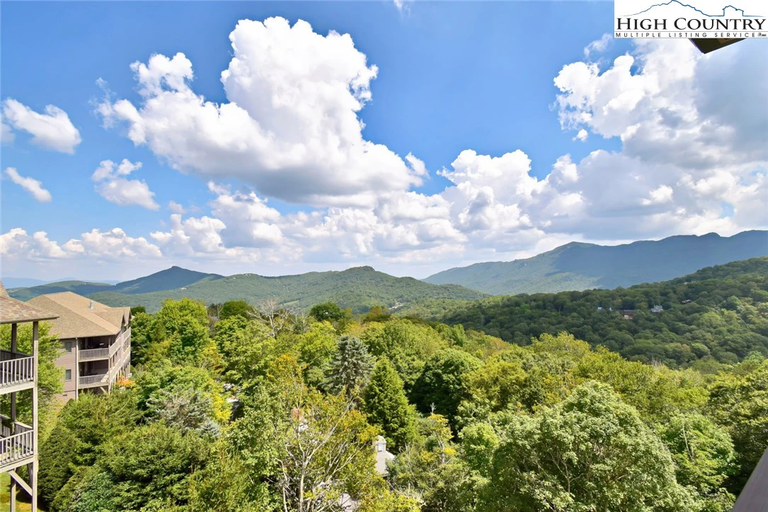 Image number 4 for the current listing