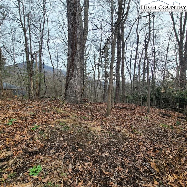 Image number 1 for the current listing