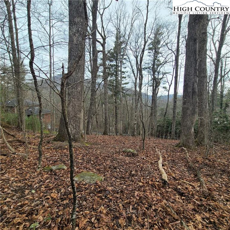 Image number 4 for the current listing