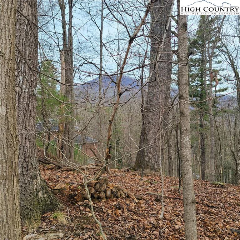 Image number 5 for the current listing