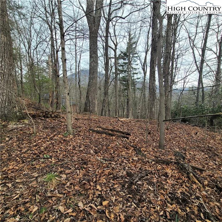 Image number 6 for the current listing