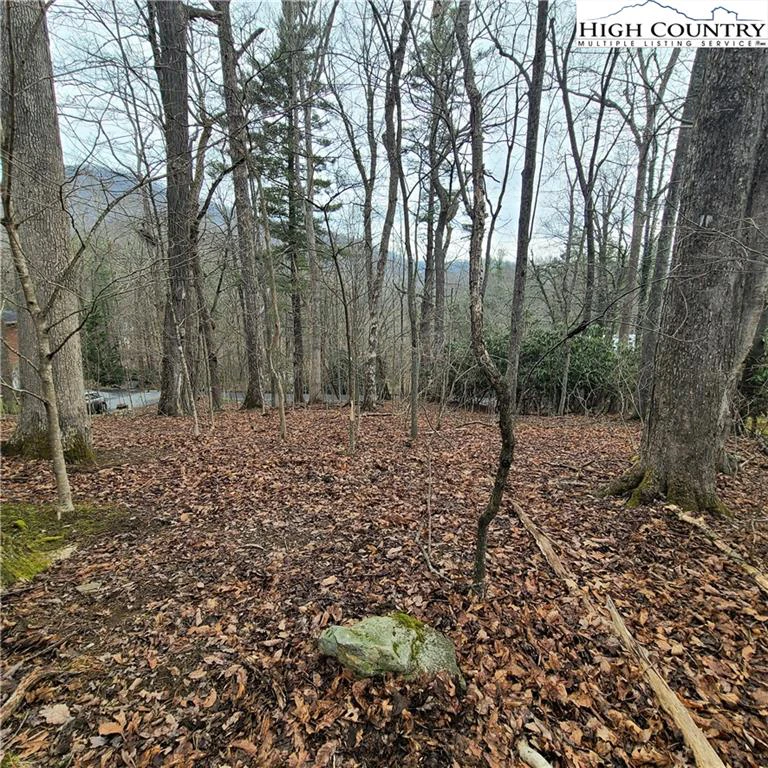 Image number 7 for the current listing