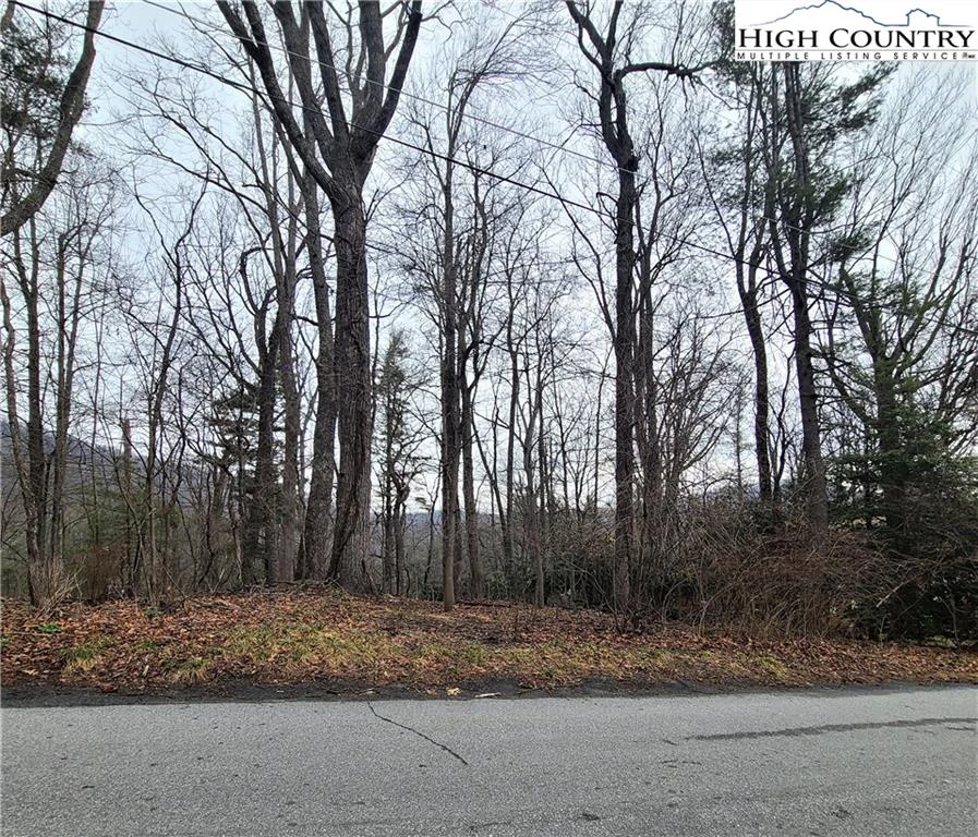 Image number 9 for the current listing