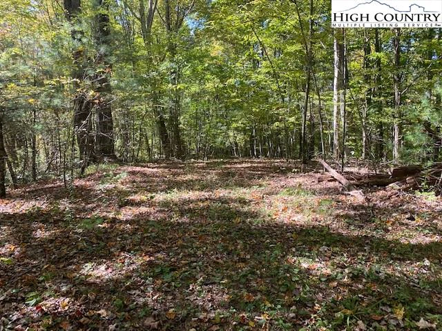 Image number 1 for the current listing