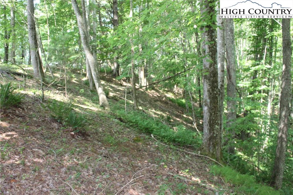 Image number 1 for the current listing