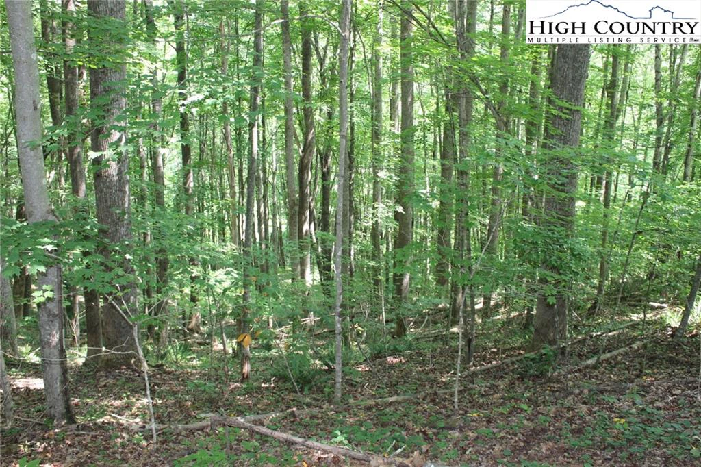 Image number 3 for the current listing