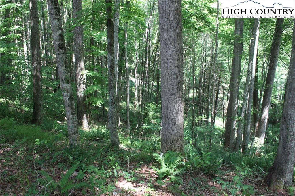 Image number 4 for the current listing