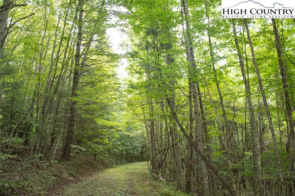 Image number 1 for the current listing