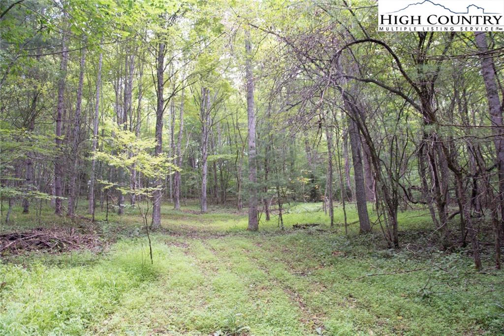 Image number 3 for the current listing
