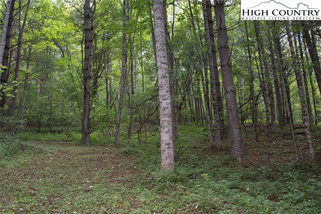 Image number 4 for the current listing