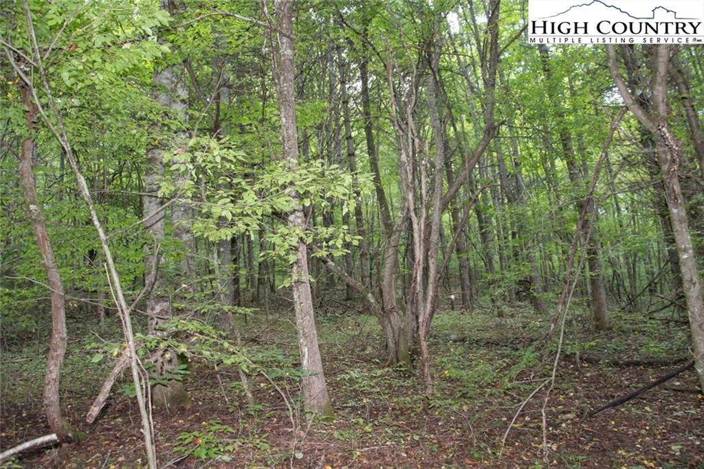 Image number 5 for the current listing