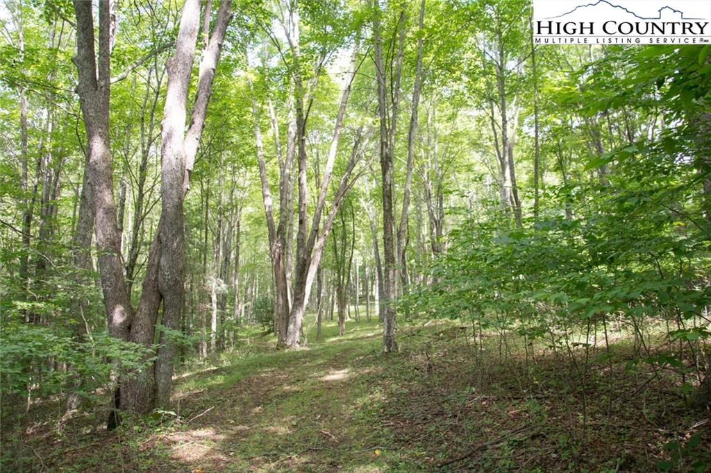 Image number 7 for the current listing