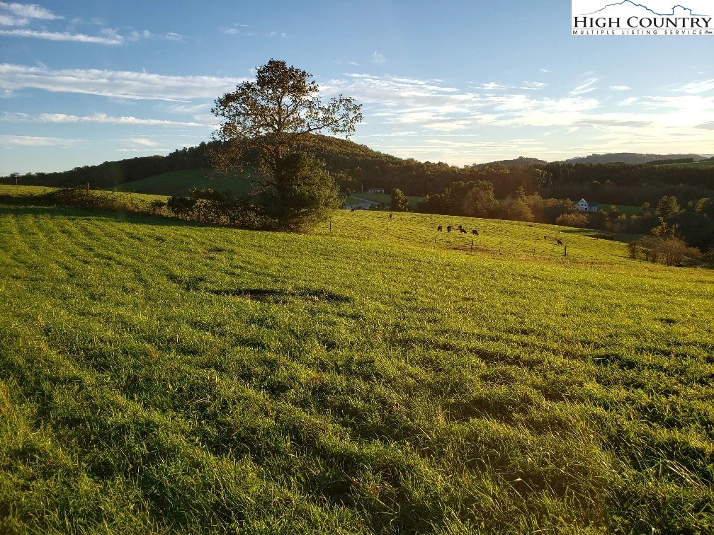 Image number 1 for the current listing