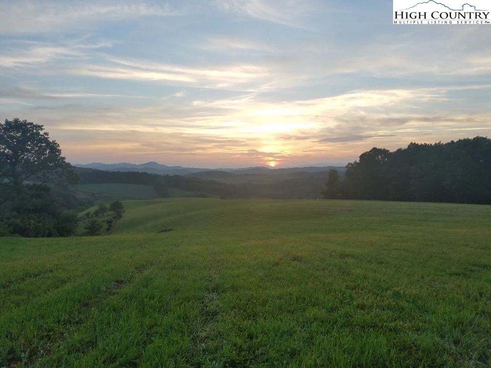 Image number 1 for the current listing