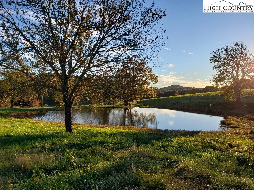 Image number 4 for the current listing