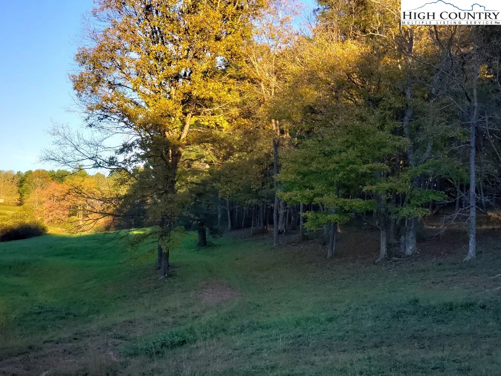 Image number 7 for the current listing