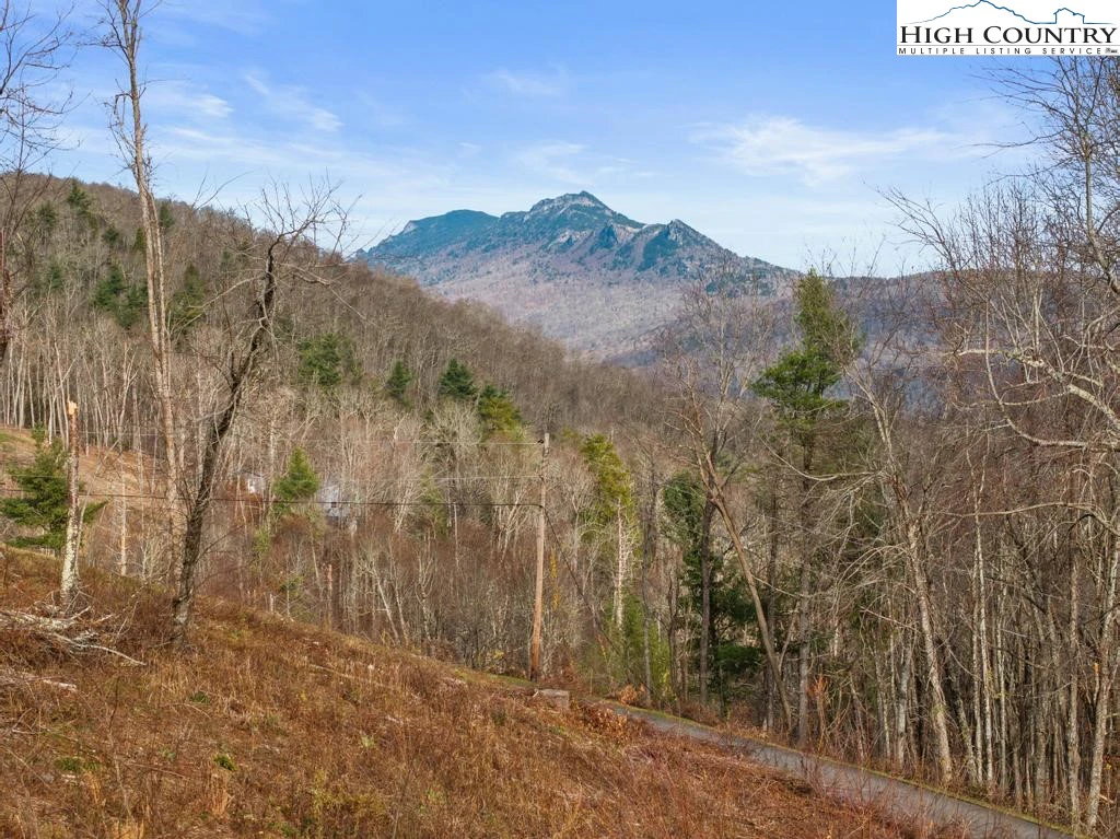 Image number 1 for the current listing