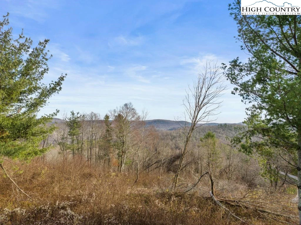 Image number 18 for the current listing