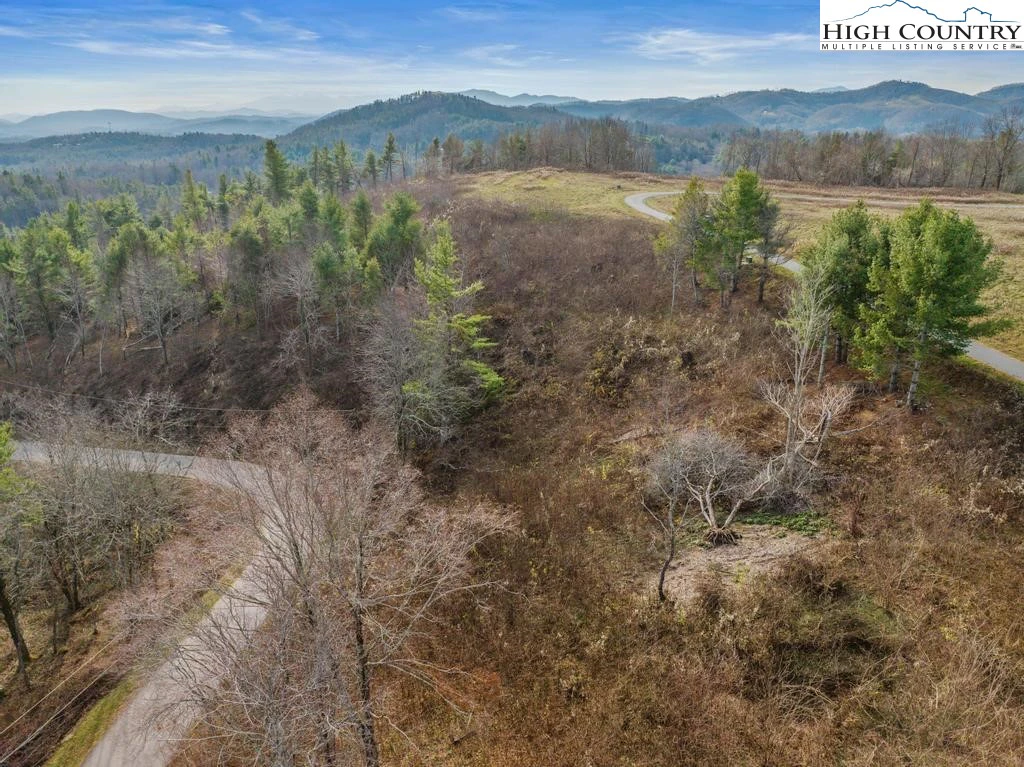Image number 2 for the current listing