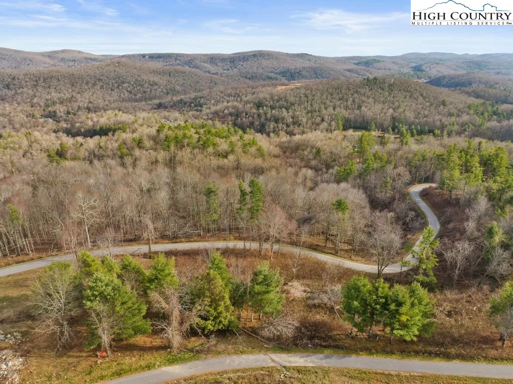 Image number 11 for the current listing