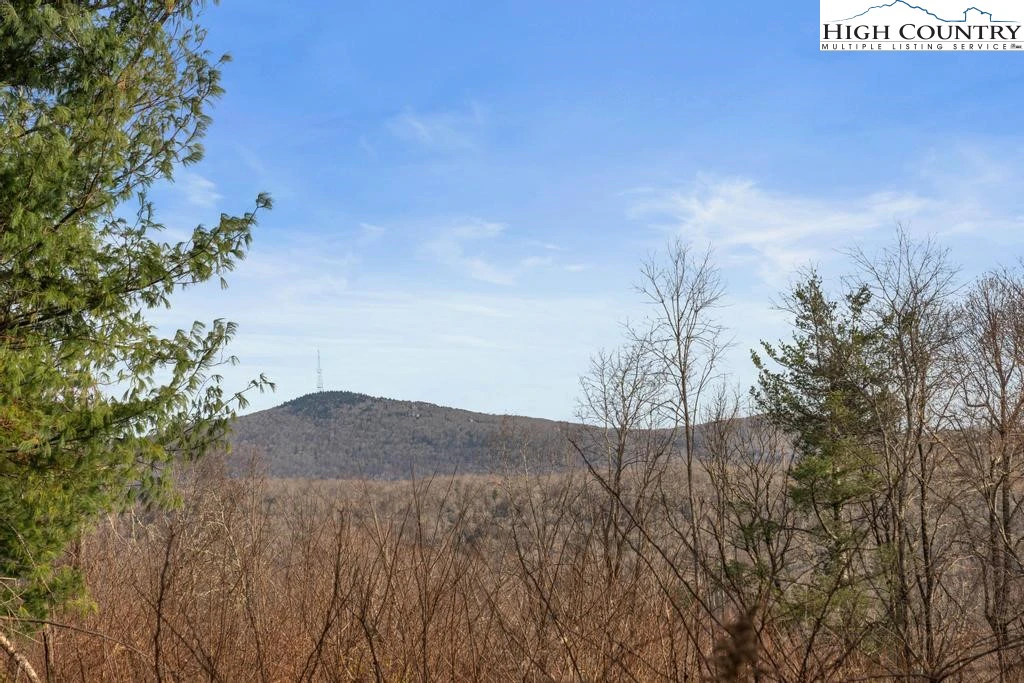 Image number 7 for the current listing