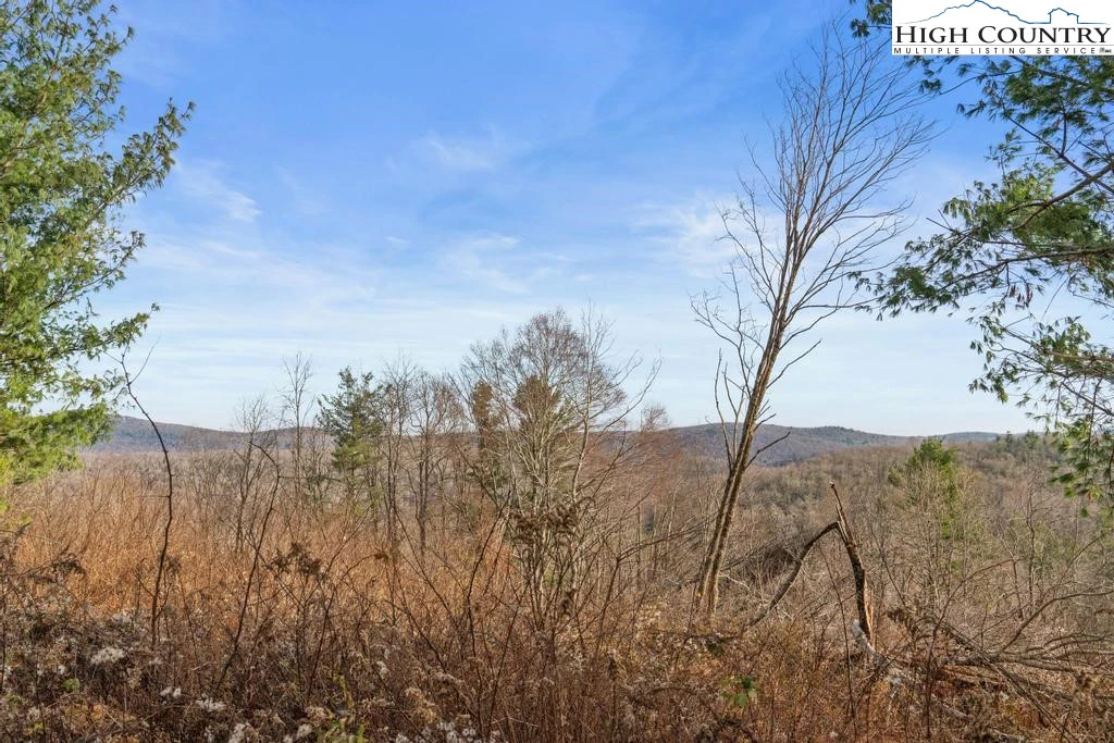 Image number 6 for the current listing